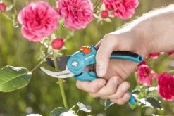 GARDENA - Classic B/S-M Bypass Snoeischaar - Ø 22mm - 25 Jaar Garantie 23 GARDENA - Classic B/S-M Bypass Snoeischaar - Ø 22mm - 25 Jaar Garantie -Tuin Aanleg 1200x800 324