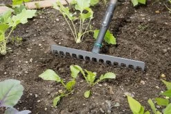 Gardena NatureLine Hark | 36 Cm | FSC 100% - 17106-20 11 Gardena NatureLine Hark | 36 Cm | FSC 100% - 17106-20 -Tuin Aanleg 1200x800 452