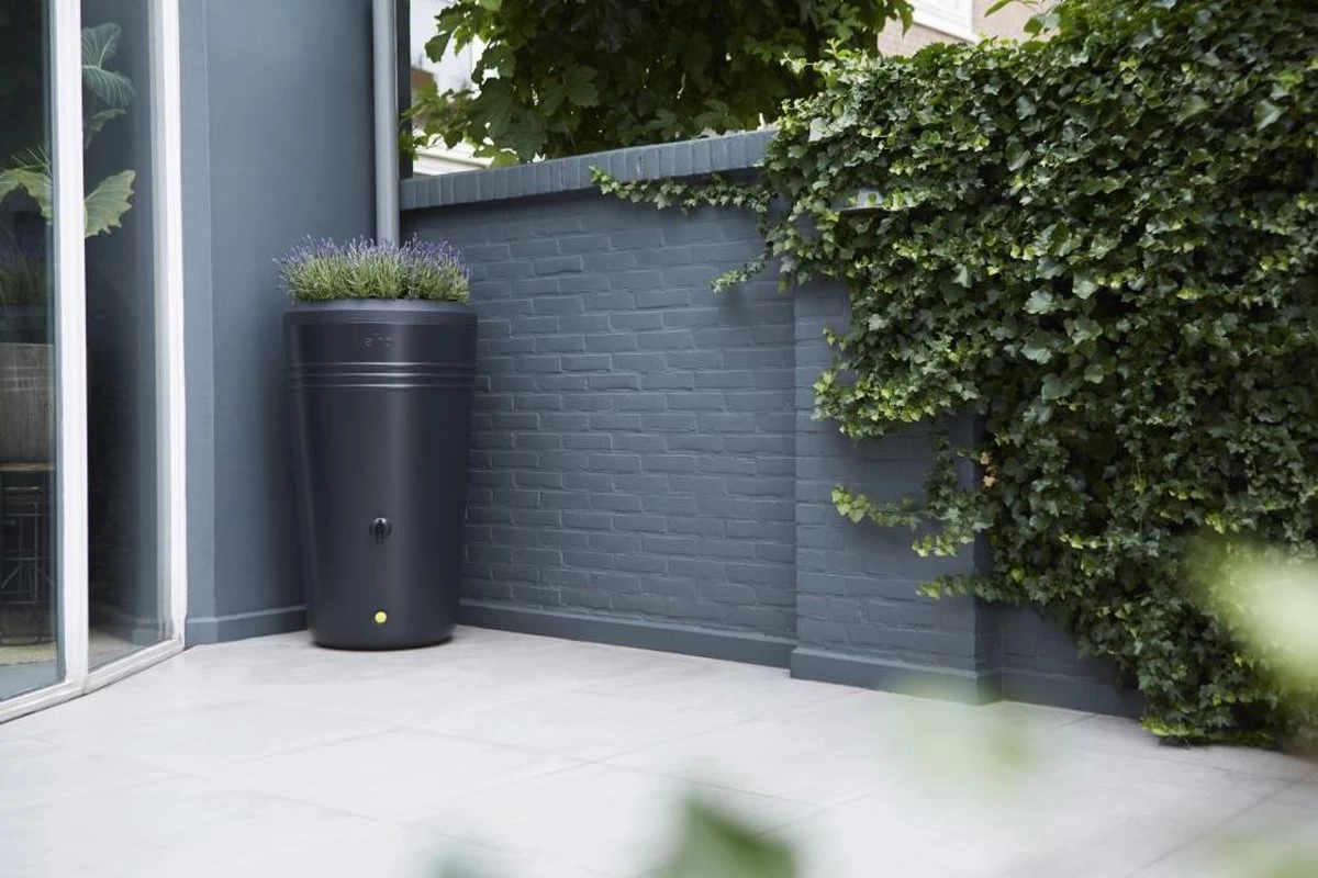 Elho Green Basics Regenton - Regenton - Living Black - Buiten - 200 Liter 8 Elho Green Basics Regenton - Regenton - Living Black - Buiten - 200 Liter - Afbeelding 6