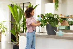 Elho Brussels Gieter 1,8l - Gieter Voor Binnenkweken En Oogsten - Ø 33.0 X H 17.0 Cm - Groen/Mint -Tuin Aanleg 1200x800 587