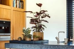 Capi Europe - Vaas Bol Groove XL - 39x33 - Goud - Bloempot Voor Binnen - Opening ⌀24 - GVGB270 -Tuin Aanleg 1200x800 611