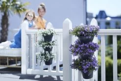 Elho Corsica Vertical Forest 24 - Bloempot Voor Balkonbuiten - Ø 26.7 X H 29.7 Cm - Zwart/Antraciet -Tuin Aanleg 1200x800 623