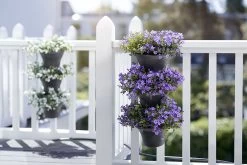 Elho Corsica Vertical Forest 24 - Bloempot Voor Balkonbuiten - Ø 26.7 X H 29.7 Cm - Zwart/Antraciet -Tuin Aanleg 1200x800 624