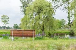 MaximaVida Tuinbank Budapest Oil 170 Cm - Uit Exclusief Mahoniehout -Tuin Aanleg 1200x800 85