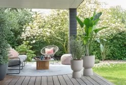 Elho Pure Coupe 35 - Bloempot Voor Binnen & Buiten - Ø 34.9 X H 49.0 Cm - Beige/Balanced Beige -Tuin Aanleg 1200x808 10