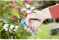 GARDENA - Classic B/S-M Bypass Snoeischaar - Ø 22mm - 25 Jaar Garantie 25 GARDENA - Classic B/S-M Bypass Snoeischaar - Ø 22mm - 25 Jaar Garantie -Tuin Aanleg 1200x825 10