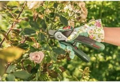 Bosch EasyPrune Accu Snoeischaar - 3.6 V Accu - USB -Tuin Aanleg 1200x825 13