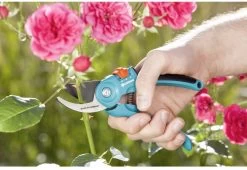 GARDENA - Classic B/S-M Bypass Snoeischaar - Ø 22mm - 25 Jaar Garantie 24 GARDENA - Classic B/S-M Bypass Snoeischaar - Ø 22mm - 25 Jaar Garantie -Tuin Aanleg 1200x825 9