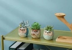 Luxe Bamboe Houten Boom Met 3 Keramiek Uil Bloempotten/Plantenpotten Op Standaard/Voet Voor Binnen En Buiten - Modern Design Bloempot/Plantenpot Op Poten/Pootjes-Plantenbak Mini Cactus Nep Plant Pot Houder - Kleine Bloembakken Plantenrek/Plantenkurk -Tuin Aanleg 1200x840 6