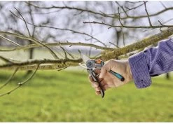 GARDENA - ExpertCut - Snoeischaar - 22 Diameter Tak -Tuin Aanleg 1200x859