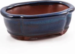 Happy Seed Keramieken Bonsai Pot (schaal) - Marine Blauw - Geglazuurd 10 Happy Seed Keramieken Bonsai Pot (schaal) - Marine Blauw - Geglazuurd -Tuin Aanleg 1200x873 5