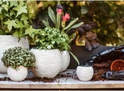 Capi Europe - Set Van 3 - Bloempot Binnen - Rib Ivoor -Tuin Aanleg 1200x878 4