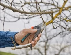 GARDENA - ExpertCut - Snoeischaar - 22 Diameter Tak -Tuin Aanleg 1200x929 3