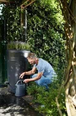 Elho Green Basics Regenton - Regenton - Living Black - Buiten - 200 Liter 40 Elho Green Basics Regenton - Regenton - Living Black - Buiten - 200 Liter -Tuin Aanleg 787x1200 1