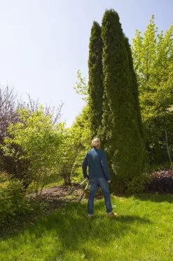 GARDENA TeleCut Heggenschaar - Telescopische Handgrepen Van 70-90 Cm -Tuin Aanleg 799x1200 42