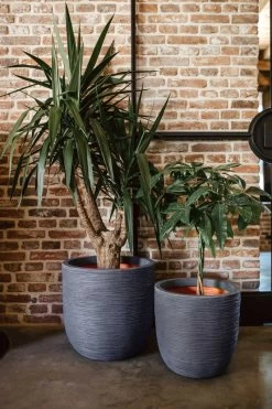 Capi Europe - Bloempot Bol Rib NL - 35x34 - Zwart - Voor Binnen En Buiten - KBLR932 -Tuin Aanleg 800x1200 171