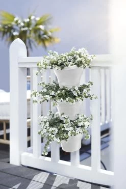 Elho Corsica Vertical Forest 24 - Bloempot Voor Balkonbuiten - Ø 26.7 X H 29.7 Cm - Wit/Wit 24 Elho Corsica Vertical Forest 24 - Bloempot Voor Balkonbuiten - Ø 26.7 X H 29.7 Cm - Wit/Wit -Tuin Aanleg 800x1200 175