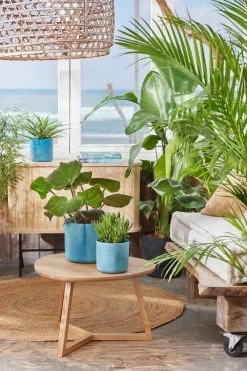 Elho The Ocean Collection Round 22cm - Bloempot Voor Binnen - 100% Gerecycled Materiaal - Gemaakt Met Zeeafval - Ø 22.3 X H 20.4 Cm - Atlantisch Blauw 16 Elho The Ocean Collection Round 22cm - Bloempot Voor Binnen - 100% Gerecycled Materiaal - Gemaakt Met Zeeafval - Ø 22.3 X H 20.4 Cm - Atlantisch Blauw -Tuin Aanleg 800x1200 178