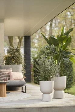 Elho Pure Coupe 35 - Bloempot Voor Binnen & Buiten - Ø 34.9 X H 49.0 Cm - Beige/Balanced Beige -Tuin Aanleg 800x1200 181