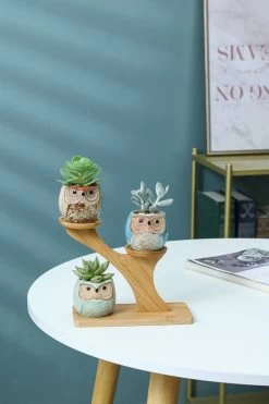 Luxe Bamboe Houten Boom Met 3 Keramiek Uil Bloempotten/Plantenpotten Op Standaard/Voet Voor Binnen En Buiten - Modern Design Bloempot/Plantenpot Op Poten/Pootjes-Plantenbak Mini Cactus Nep Plant Pot Houder - Kleine Bloembakken Plantenrek/Plantenkurk -Tuin Aanleg 800x1200 185