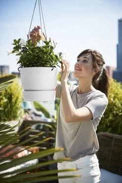 Elho Greenville Hangschaal 24 - Bloempot Voor Balkonbuiten - Ø 23.5 X H 20.5 Cm - Zwart/Living Black -Tuin Aanleg 801x1200 22