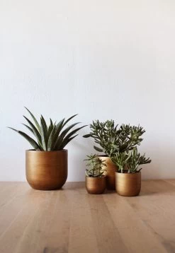 Capi Europe - Set Van 4 - Bloempot Binnen - Retro - - Goud - Bloempot Voor Binnen - BOX-BRTG-4 -Tuin Aanleg 829x1200 3