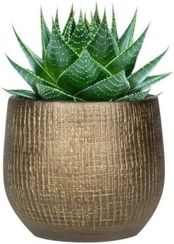 Plantenpot/bloempot In Een Strakke Modern Design Look Metal Goud Dia 22 Cm En Hoogte 20 Cm -Tuin Aanleg 853x1200 3