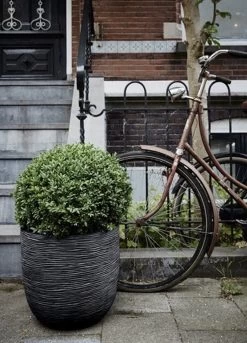 Capi Europe - Bloempot Bol Rib NL - 35x34 - Zwart - Voor Binnen En Buiten - KBLR932 -Tuin Aanleg 864x1200 1