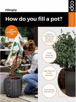 Capi Europe - Bloempot Rechthoek Smooth NL - 36x36x79 - Zwart - Voor Binnen En Buiten - KBL952 -Tuin Aanleg 895x1200 4