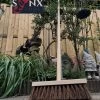 Synx Tools Stadsbezem 30 Cm - Bezem - Buitenveger - Veger - Steel 150 Cm - Harde Natuurvezels - Straatbezem - Bezems - Buitenbezem - Tuinbezem -Tuin Aanleg 899x1200 25