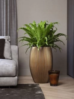 Capi Europe - Vaas Elegant Deluxe Groove XL - 40x61 - Goud - Bloempot Voor Binnen - Opening ⌀29 - GVGB1131 -Tuin Aanleg 900x1200 46