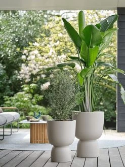 Elho Pure Coupe 35 - Bloempot Voor Binnen & Buiten - Ø 34.9 X H 49.0 Cm - Beige/Balanced Beige -Tuin Aanleg 900x1200 47