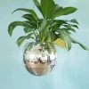 Discobal Hangplant - Bloempot - Hangplant - Disco - Discobal - Spiegel - Zilver - Hangpot - Glitter - Planten In Bak - Hangend - Staand 2 Discobal Hangplant - Bloempot - Hangplant - Disco - Discobal - Spiegel - Zilver - Hangpot - Glitter - Planten In Bak - Hangend - Staand -Tuin Aanleg 901x1200 2