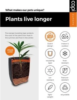 Capi Europe - Bloempot Bol Rib NL - 35x34 - Zwart - Voor Binnen En Buiten - KBLR932 -Tuin Aanleg 917x1200