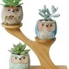 Luxe Bamboe Houten Boom Met 3 Keramiek Uil Bloempotten/Plantenpotten Op Standaard/Voet Voor Binnen En Buiten - Modern Design Bloempot/Plantenpot Op Poten/Pootjes-Plantenbak Mini Cactus Nep Plant Pot Houder - Kleine Bloembakken Plantenrek/Plantenkurk -Tuin Aanleg 966x1200 3