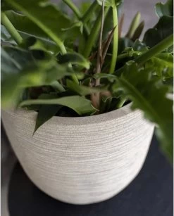 Capi Europe - Bloempot Bol Waste Rib NL - 35x34 - Terrazzo Beige - Voor Binnen En Buiten - KTBR932 -Tuin Aanleg 967x1200 1